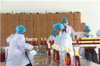 TMI引入增強厚度測試儀產品簡介